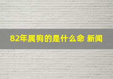 82年属狗的是什么命 新闻